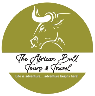 The African Bull Tours and Travel Logo